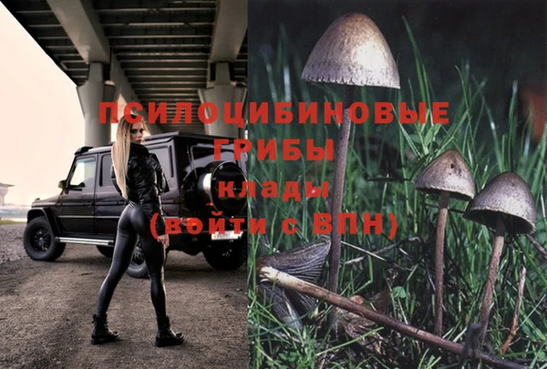 прущая мука Иннополис