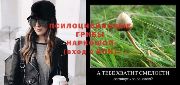 прущая мука Иннополис