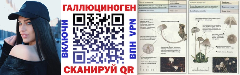 Купить где  Биробиджан  Галлюциногенные грибы Psilocybine cubensis 